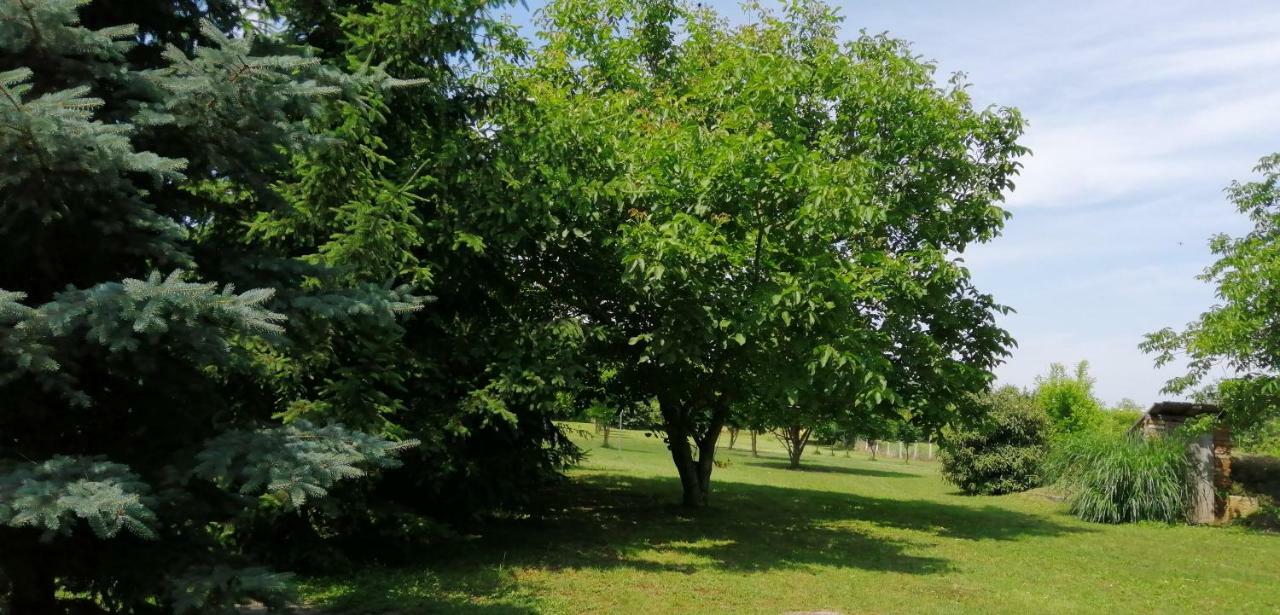 Gesztenye Vendeghaz Ságvár Dış mekan fotoğraf